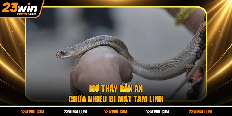 Mơ thấy rắn ẩn chứa nhiều bí mật tâm linh